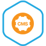 cms-web-design-1 cms-web-design-1